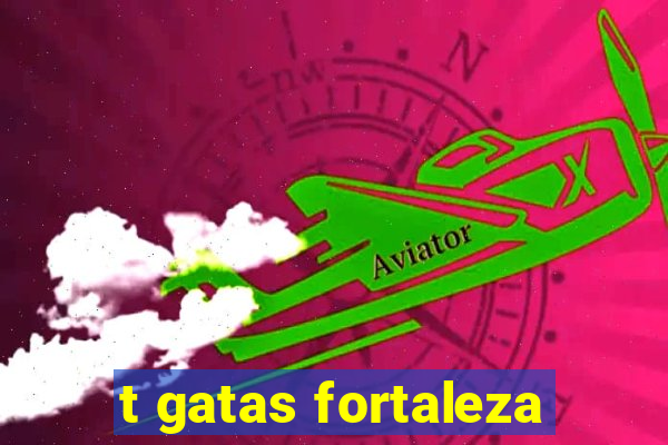 t gatas fortaleza